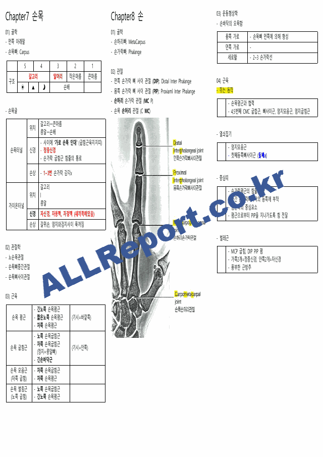 뉴만(해부학,운동학) 정리본(카셉시험) (6 페이지)